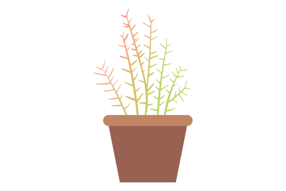 Download Houseplant in Pot. Green Home Decoration - Plant Collection
