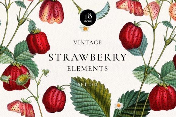 Download Vintage Strawberry Plant DIY Elements - Plant Collection